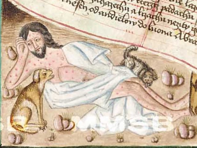 Lazar v košili s rozparkem po celé délce na výřezu z Jenského kodexu (1490-1510)