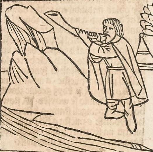 Muž v prosté sukni a plášti, výřez z Bible Kutnohorské, 1489.