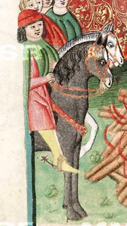 Kratší plášť sepnutý na rameni, výřez z Jenského kodexu (1490-1510).