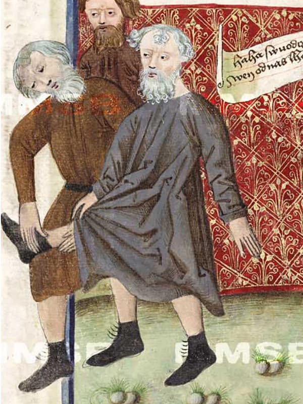 Kotníková bota se zavazováním na tkaničky nebo na knoflíky s ocáskem, výřez z Jenského kodexu (1490-1510)
